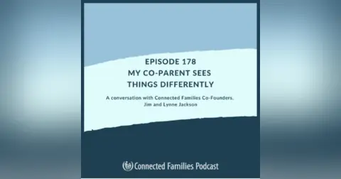 My Co-Parent Sees Things Differently