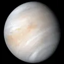 Could there really be life in the clouds of Venus?
