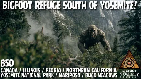 We Found the Nursery. And They Knew We Did. | Yosemite National Park
