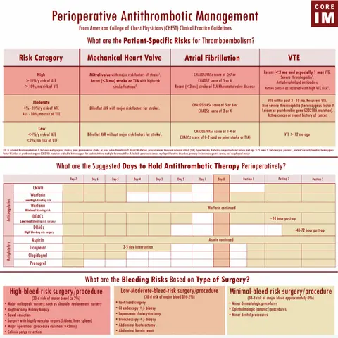 #117 Atrial Fibrillation: Gray Matters Segment