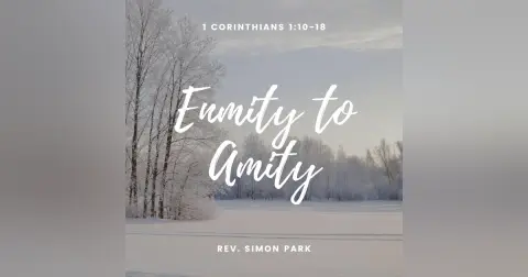Enmity to Amity