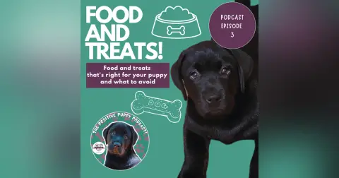 Episode 3: Food & Treats