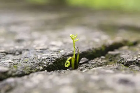 Choosing Hope