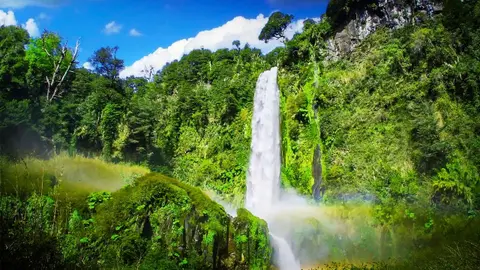 Sleep Better with Soothing Waterfall Sound | White Noise for Sleeping or Studying | 10 Hours