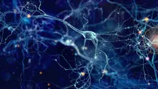 Nerve Repair and Grafting (Part 1)