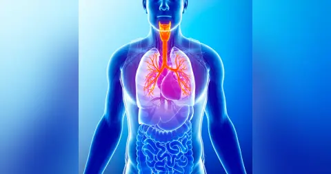 Complex Airway Management with Dr. Lindsay Griffin