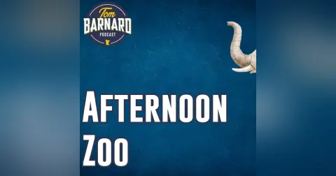 The afternoon zoo podcast