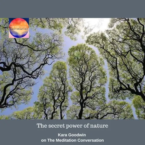 218. Secret Power of Nature - Kara's Kushion
