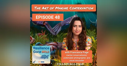 Shark Week Part 2 – The Art of Saving the Oceans and Marine Life with Francesca Page (Episode 48)