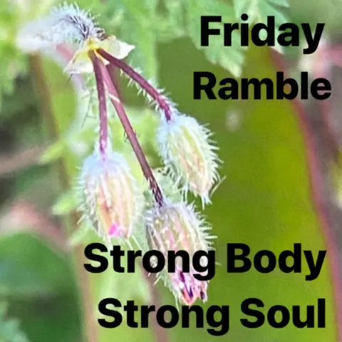 Friday Ramble!