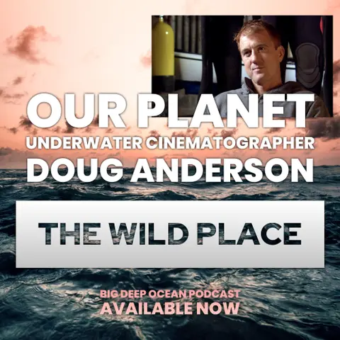 The Wild Place - Underwater cinematographer Doug Anderson on how the ocean has defined his life on films such as "Our Planet", "Frozen Planet", and "Life"