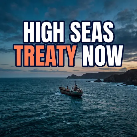 The Ship Has Reached the Shore: The High Seas Treaty Explained