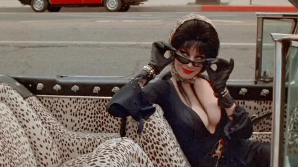 elvira-mistress-of-the-dark-still.jpg Still from Elvira Mistress of the Dark