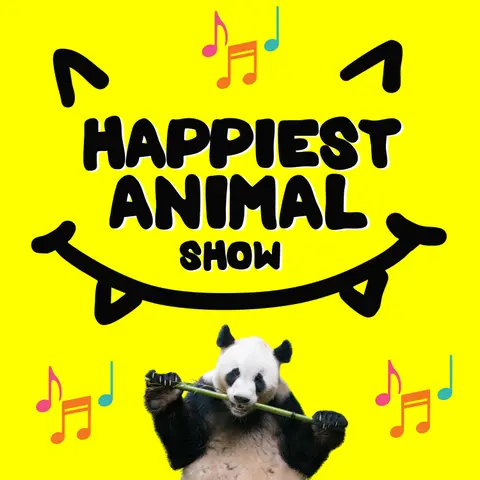 Animal Songs Round 2