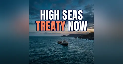 The Ship Has Reached the Shore: The High Seas Treaty Explained