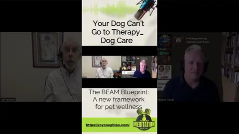 The BEAM Blueprint A new framework for pet wellness