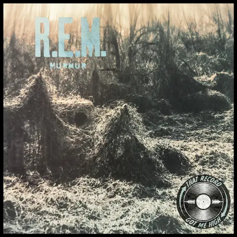 S9E488 - R.E.M. 'Murmur' with Tim Quirk