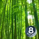 Bamboo Forest Wind Sounds 8 Hours | White Noise for Studying, Sleeping, Relaxation