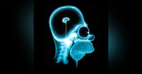 SoberNotMature - Episode 236 (Underdeveloped Brains And Other Modern Problems)