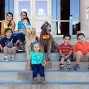 Helper Dogs