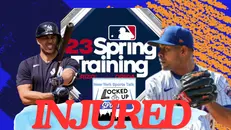 Spring Training Report
