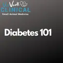 Diabetes 101: Everything insulin