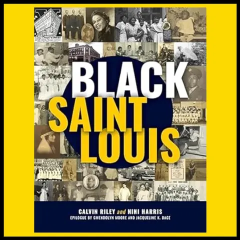 Shaping St. Louis: The Untold Narratives
