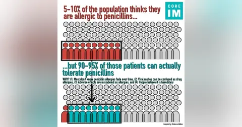 #87 Penicillin Allergy: 5 Pearls Segment