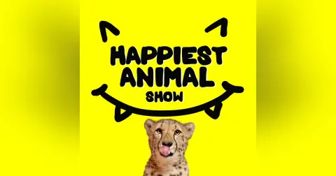 Happiest Fanimals (Animal Clues from Fans)