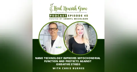 Nano Technology Improves Mitochondrial Function and Protects Against Oxidative Stress