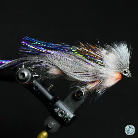 S6, Ep 18: East Tennessee Fishing Report with Ellis Ward