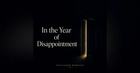 In the Year of Disappointment