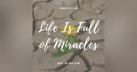 Life Is Full of Miracles