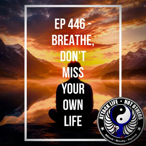 Ep 446 - Breathe, Don’t Miss Your Own Life