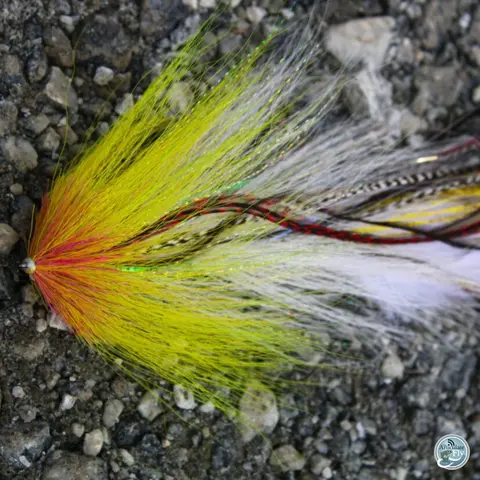 S6, Ep 23: East Tennessee Fishing Report with Ellis Ward