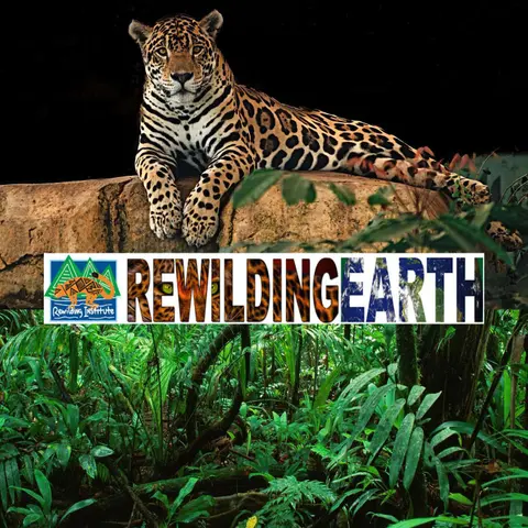 Episode 11: Vance Russell – Rewilding in North America and Europe