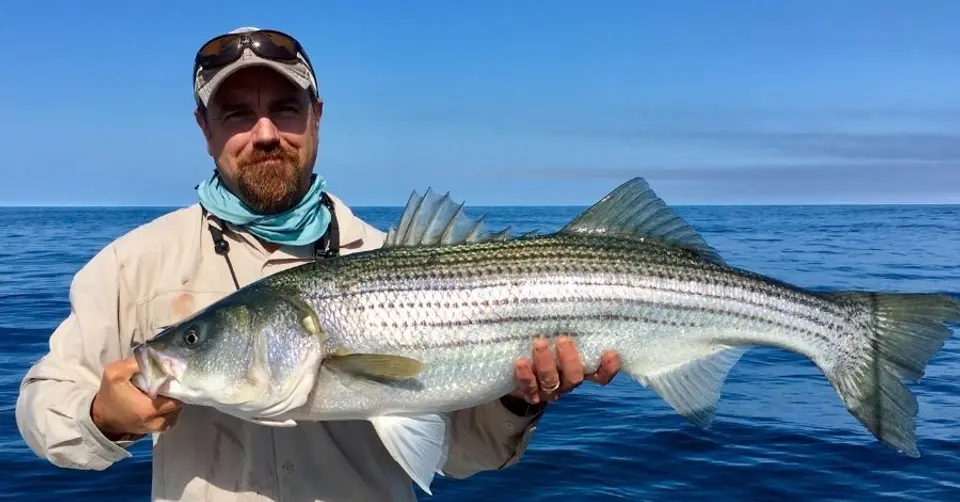 cape 1.jpg Cape Cod Striped Bass with Patrick Cassidy