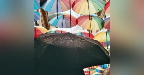 Regret-Proof Your Retirement: Smart Moves, Big Lessons & Better Alternatives