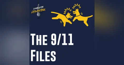 Remembering 9/11, and also a dog fight