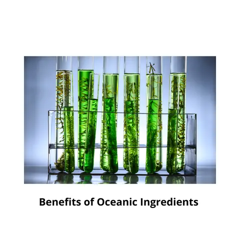 Sea Algae in Skincare: Benefits, Science, and Why Marine Ingredients Work