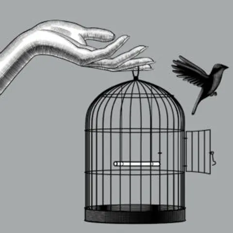 Derrick Broze | The Conscious Agora, Sovereignty Solutions, & Freedom Resources