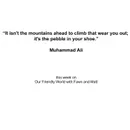 "Friendship and the Wisdom of Muhammad Ali: Navigating Life's Pebbles"