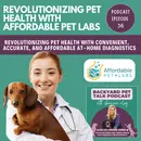 Revolutionizing Pet Health with Affordable Pet Labs