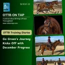 S2 E10: OTTB Training Diaries: Go Green (Oscar)'s Journey Kicks Off with December Progress