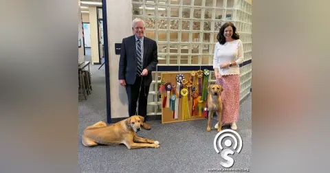 Episode 322: Assistant Principal Has Passion for Showing Rhodesian Ridgebacks