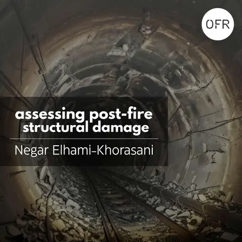239 - Assessing post-fire structural damage in tunnels with Negar Elhami-Khorasani