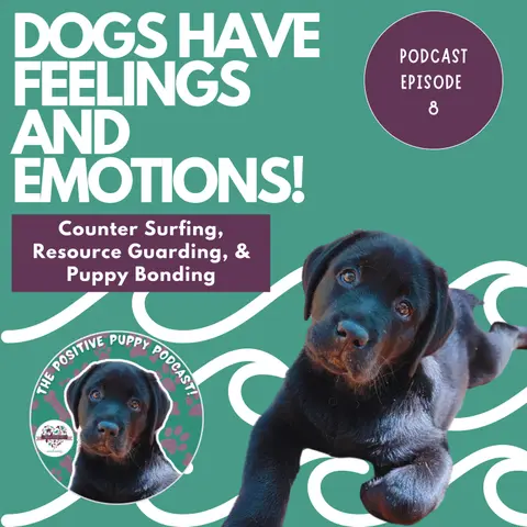 Episode 8: Dogs Have Feelings & Emotions!