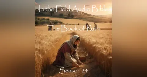 Gleaning in Grief: Mercy Hiding in Plain Sight