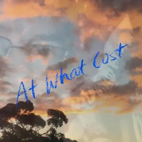 At What Cost