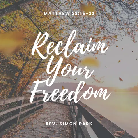 Reclaim Your Freedom